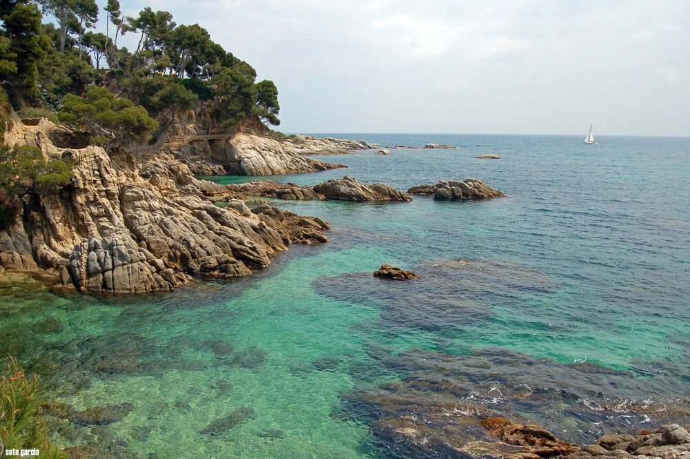 Vue sur la plage/la mer