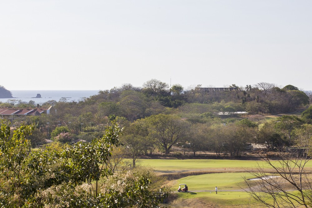 Luxury Room - 3 Bedrooms Garden & Golf View - Property Grounds
