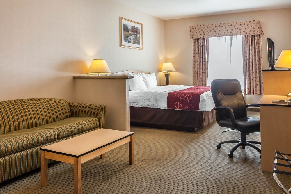 Room, Comfort Inn & Suites Airport