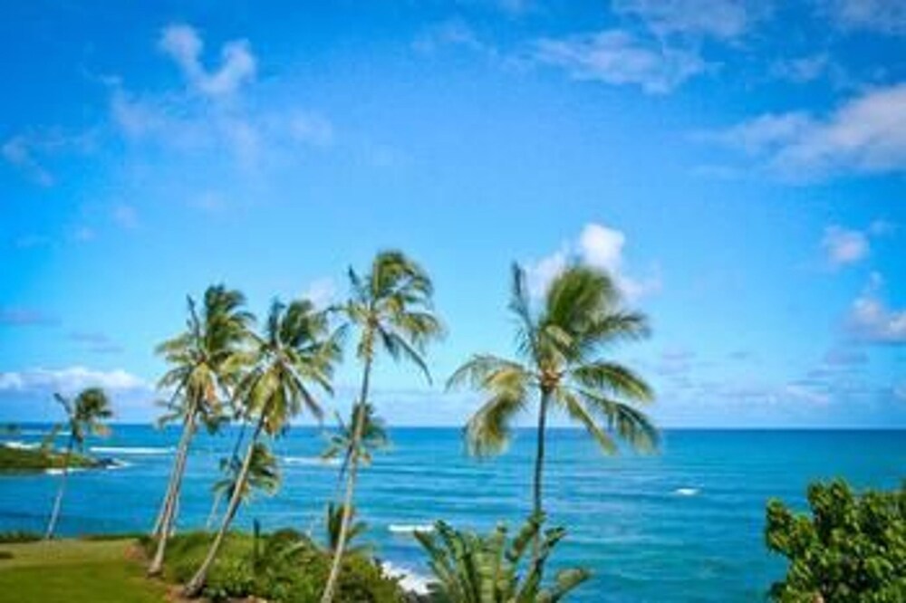 Beach/Ocean View