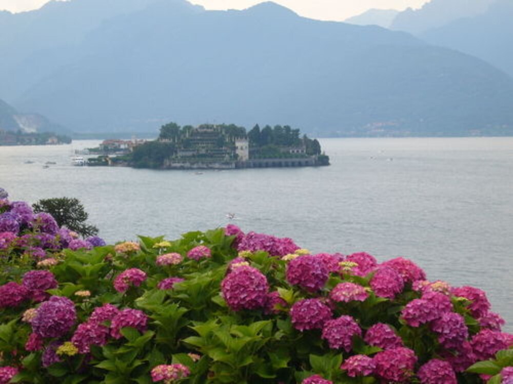 Lake View
