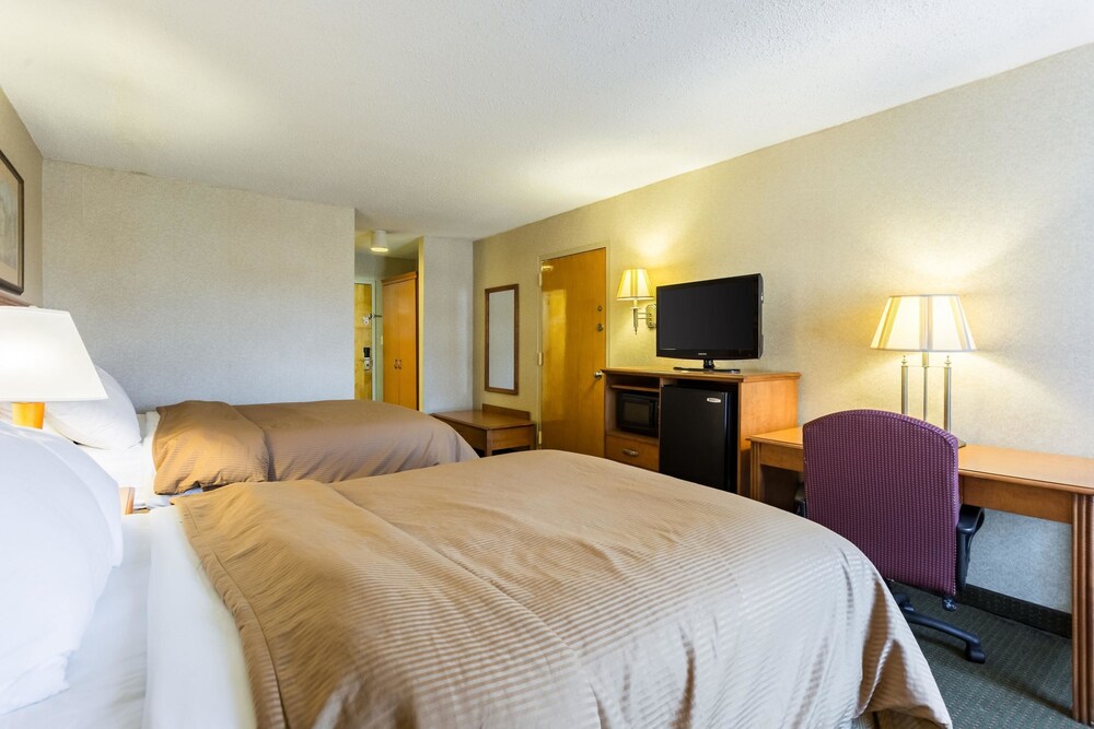 Standard Double Room, 2 Double Beds, Non Smoking - Guestroom