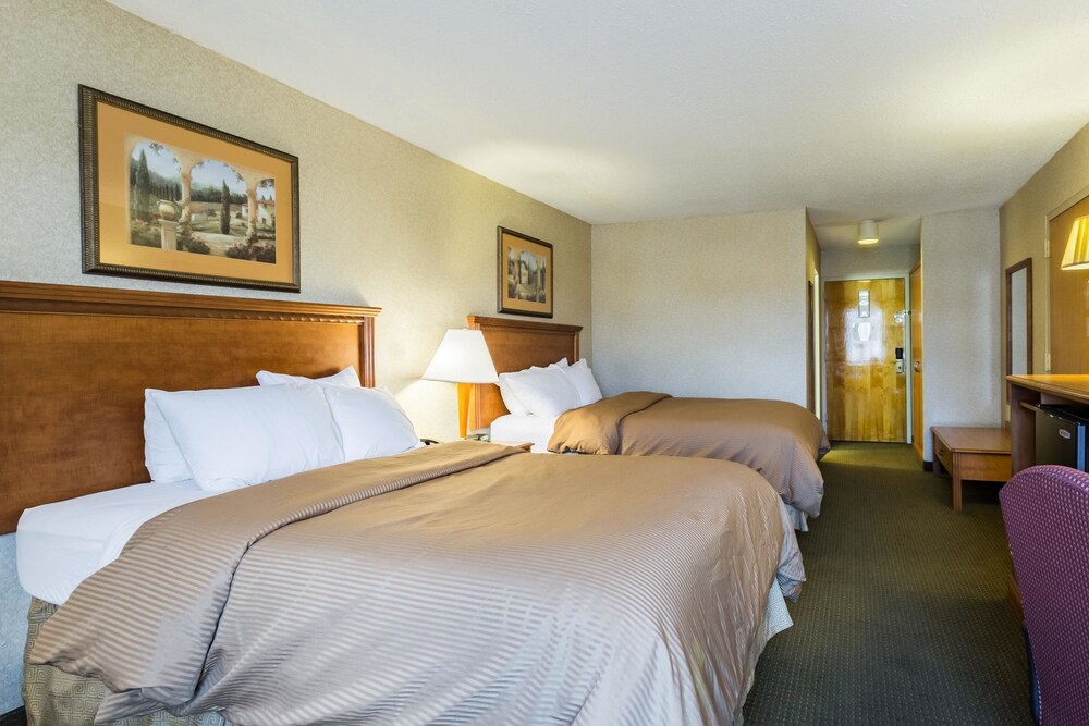 Standard Double Room, 2 Double Beds, Non Smoking - Guestroom