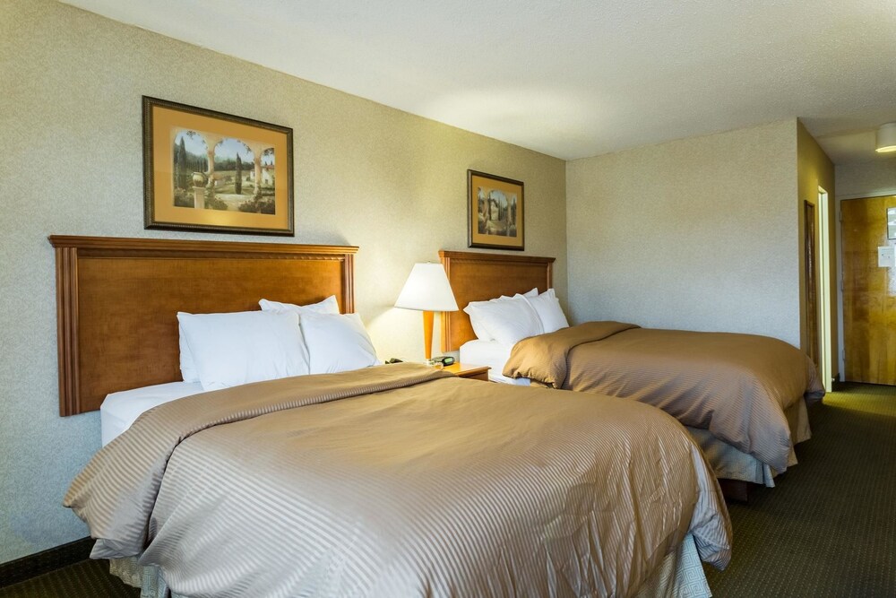 Standard Double Room, 2 Double Beds, Non Smoking - Guestroom