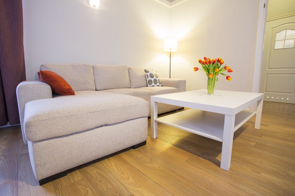 Comfort Apartment, 2 Bedrooms - Living Area