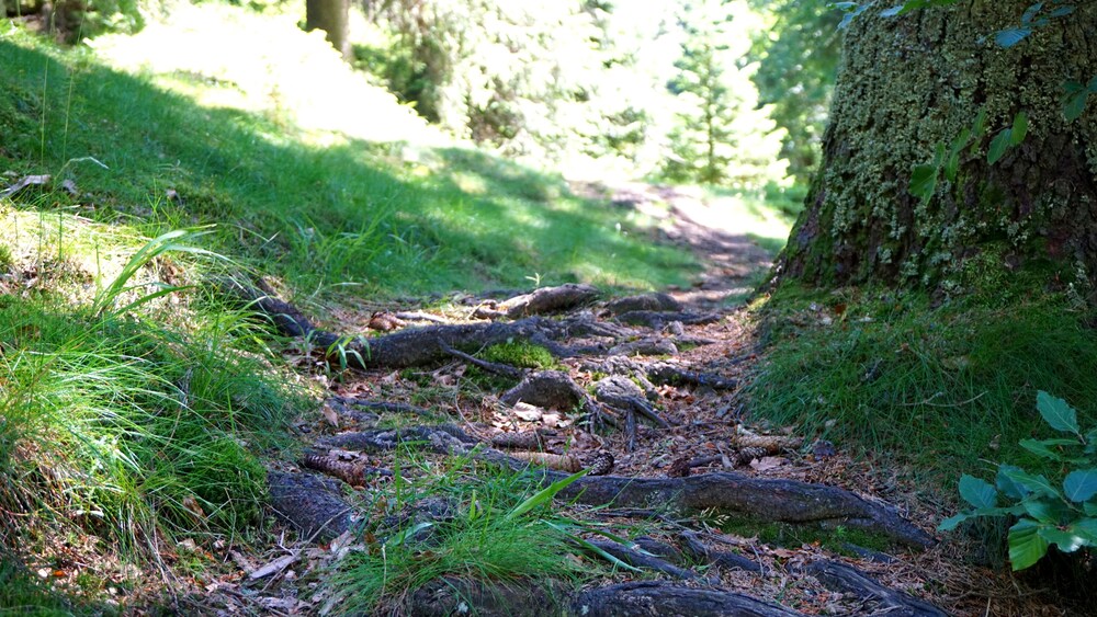 Hiking