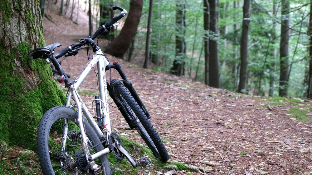 Bicycling