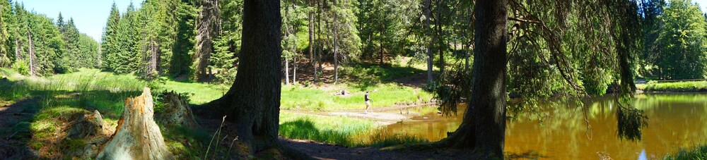 Hiking
