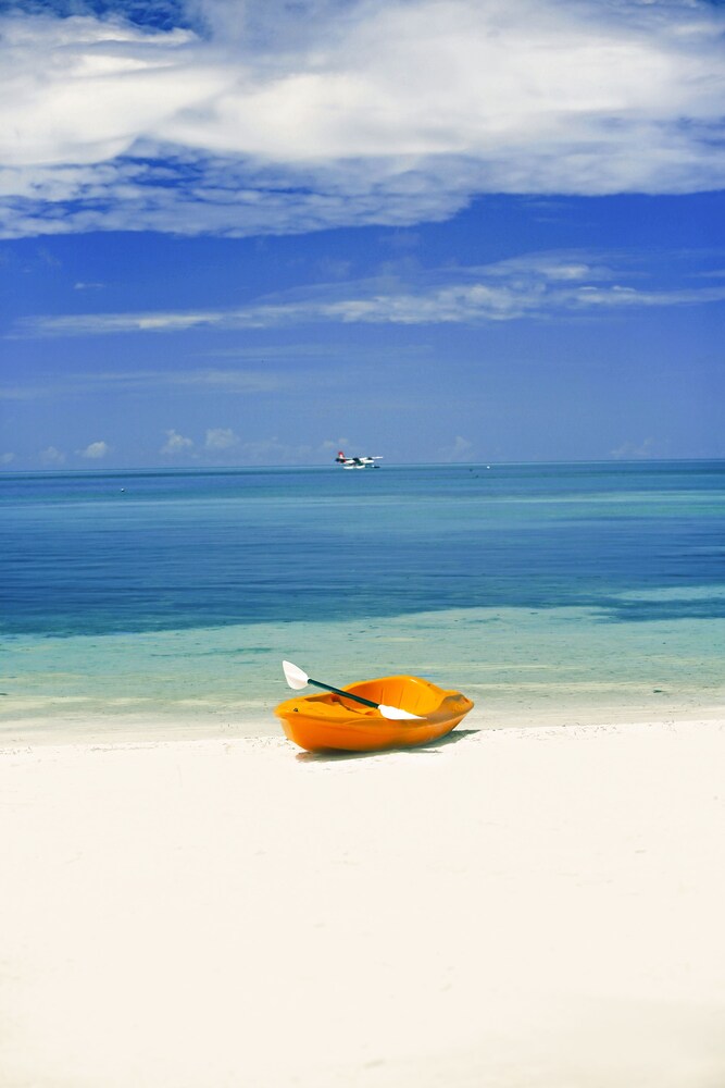 Beach/Ocean View
