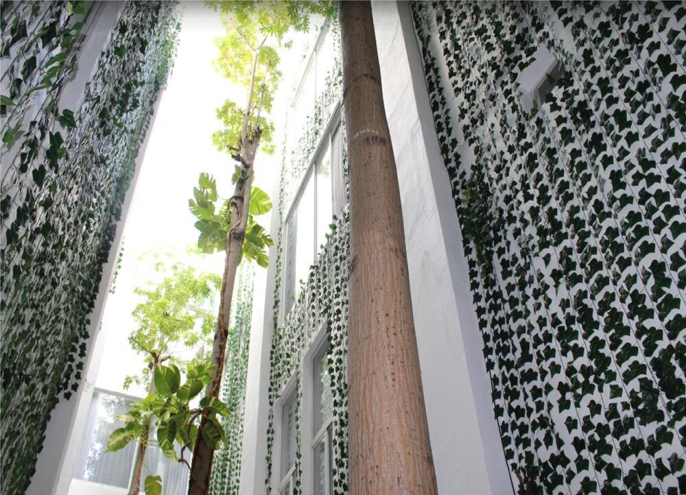 Courtyard View