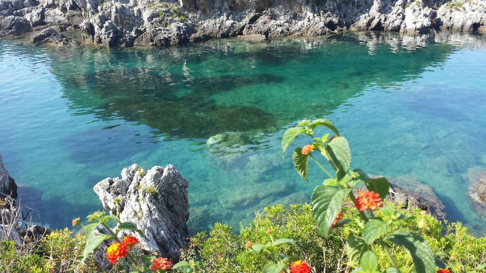 해변