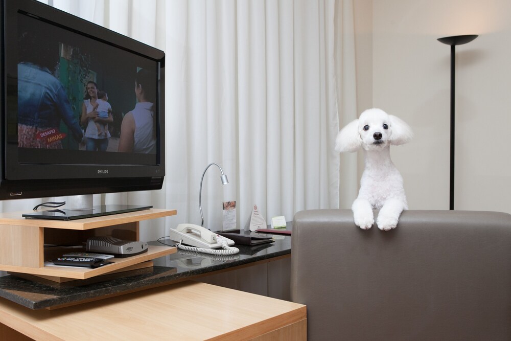 Pet-Friendly