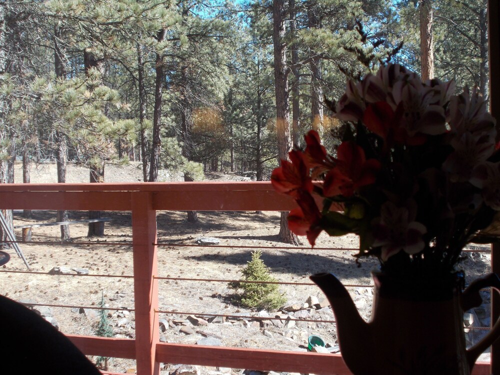 Guestroom View