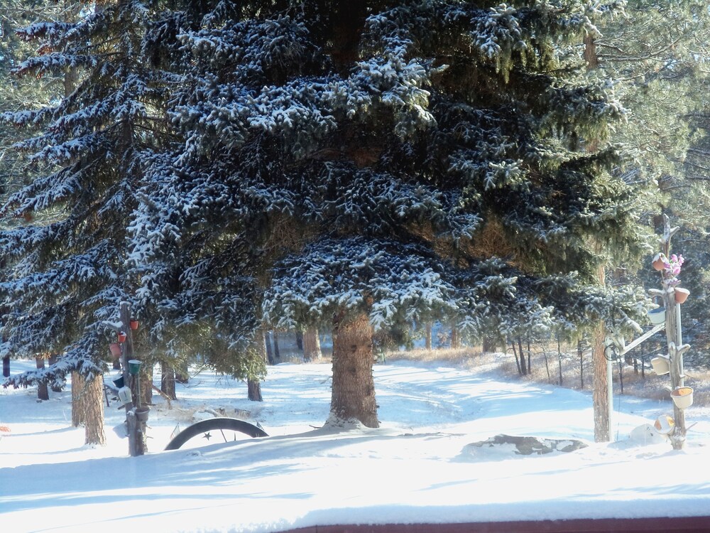 Guestroom View