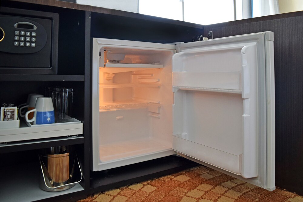 Mini-Refrigerator