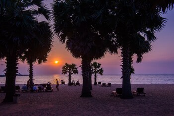 Beach/Ocean View