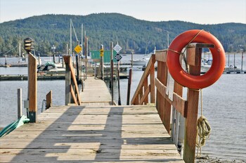 Dock