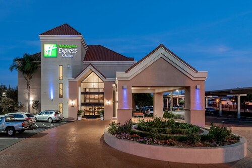 Holiday Inn Express Hotel & Suites Lathrop - South Stockton, an IHG Hotel