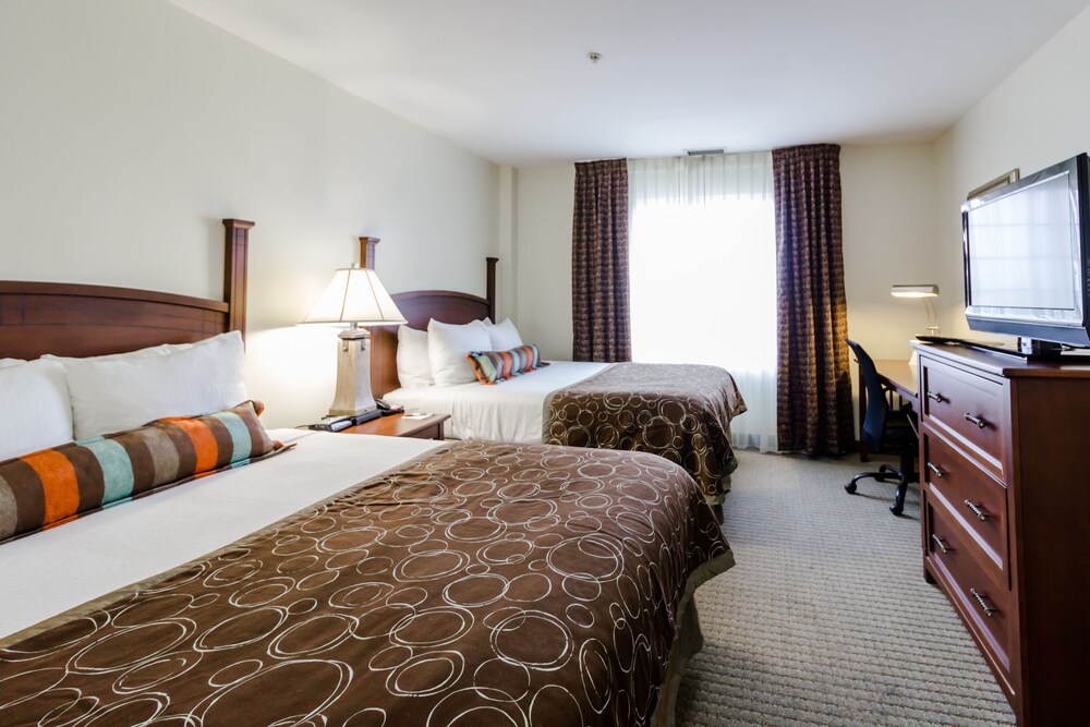 Suite, 2 Queen Beds, Kitchen - Guestroom