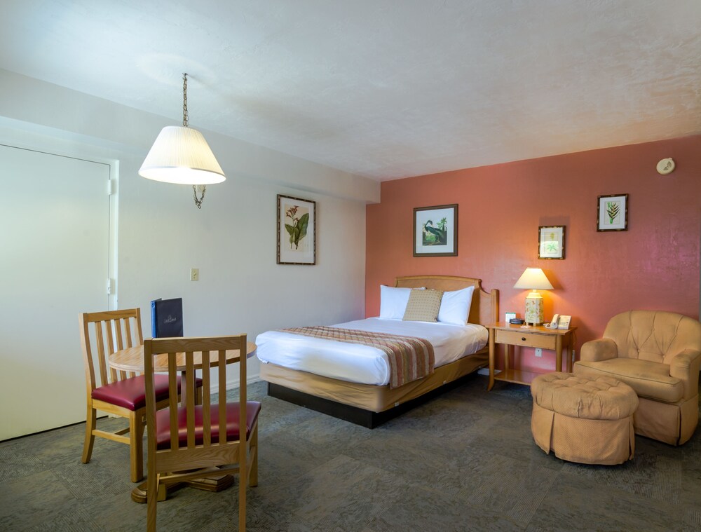 Standard Room, 1 Queen Bed, Canal View - Guestroom