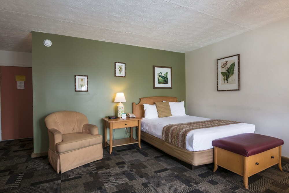 Standard Room, 1 Queen Bed - Guestroom