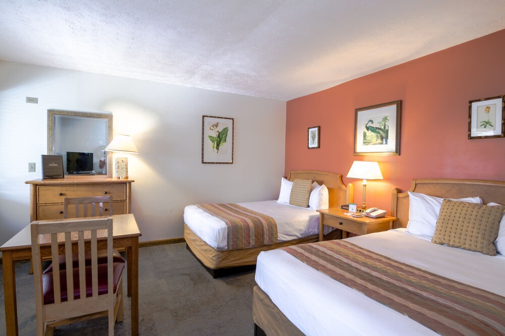 Standard Room, 2 Double Beds - Guestroom