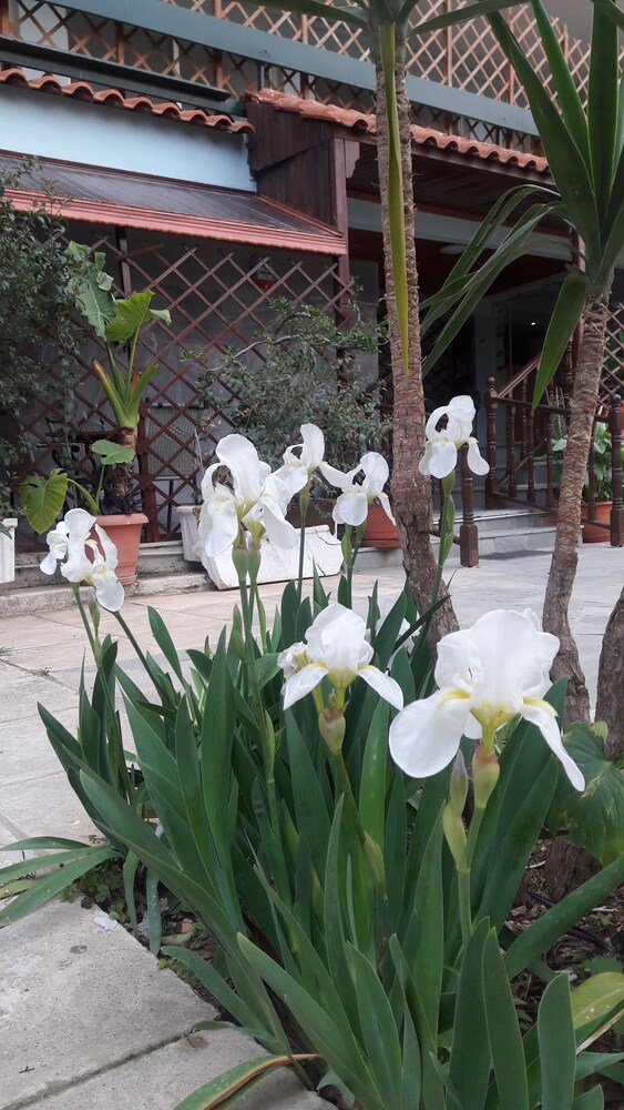 Hotel Front