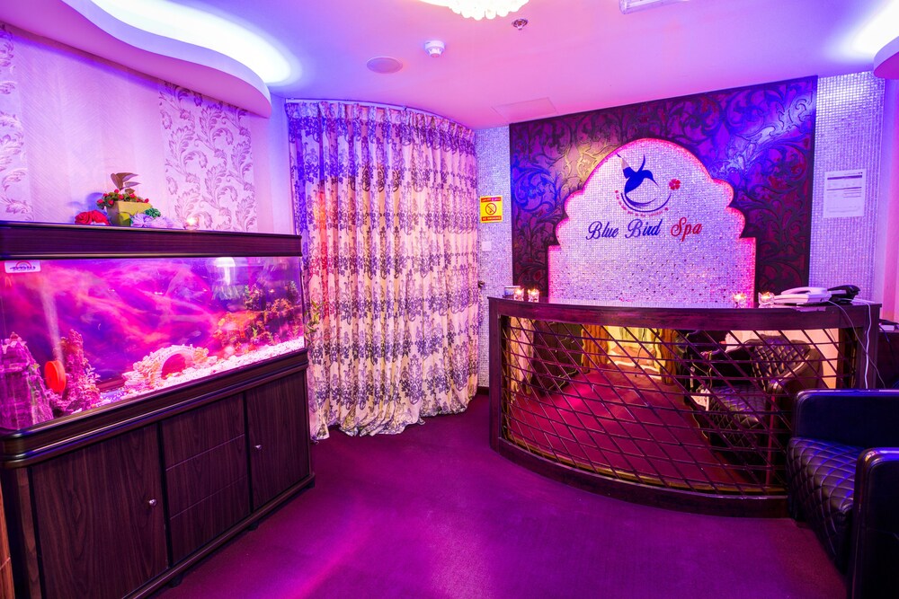 Spa Reception