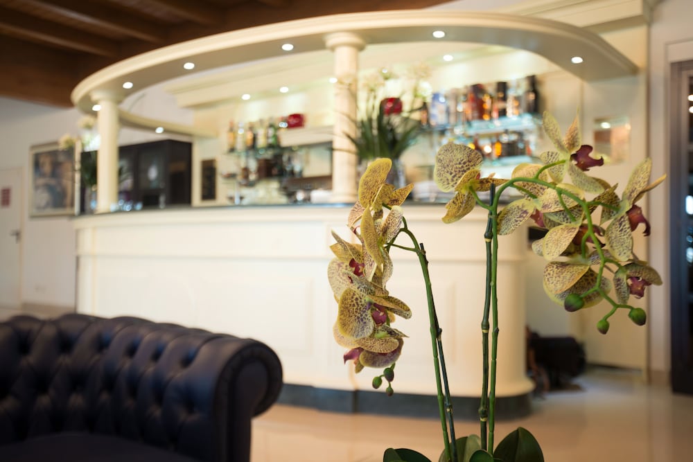 Hotel Bar