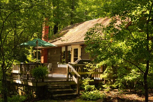 Cozy mountain cabin bordering national forest