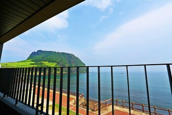 Beach/Ocean View