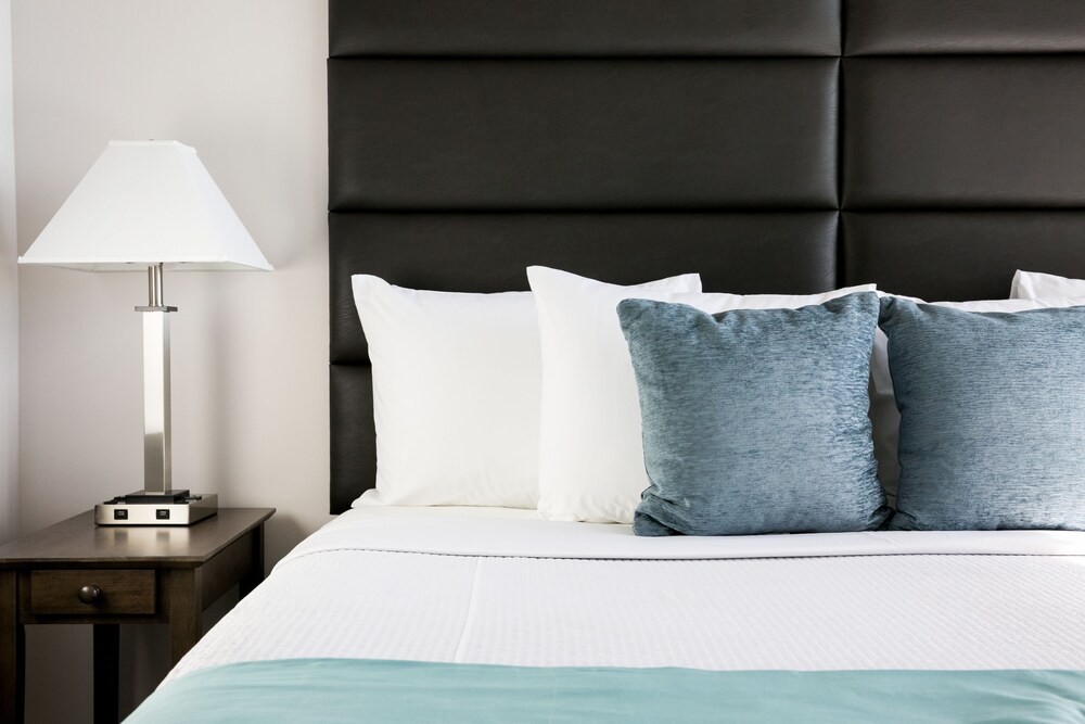 Premium Apartment, 1 Bedroom - Guestroom