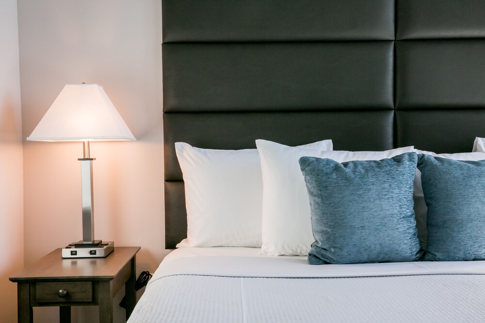 Premium Apartment, 1 Bedroom - Guestroom