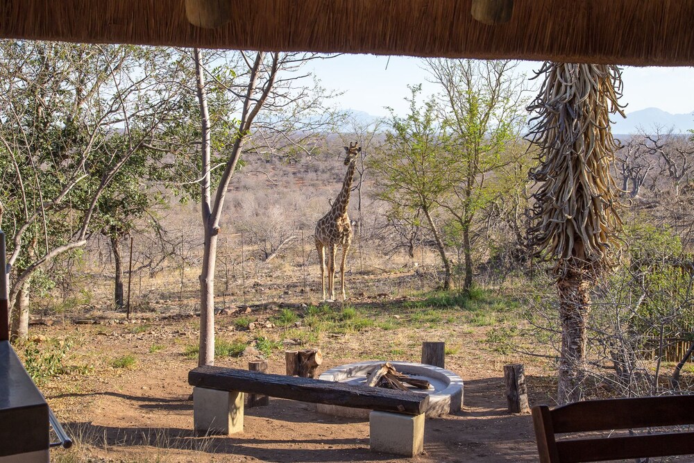 Guestroom View