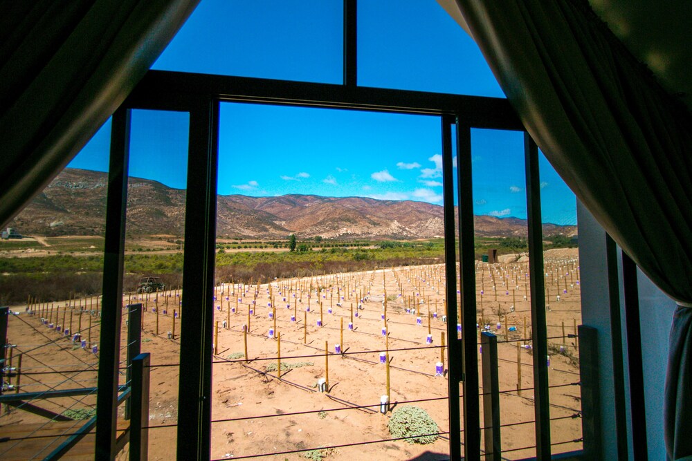 Guestroom View