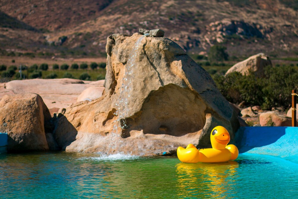 Natural Pool