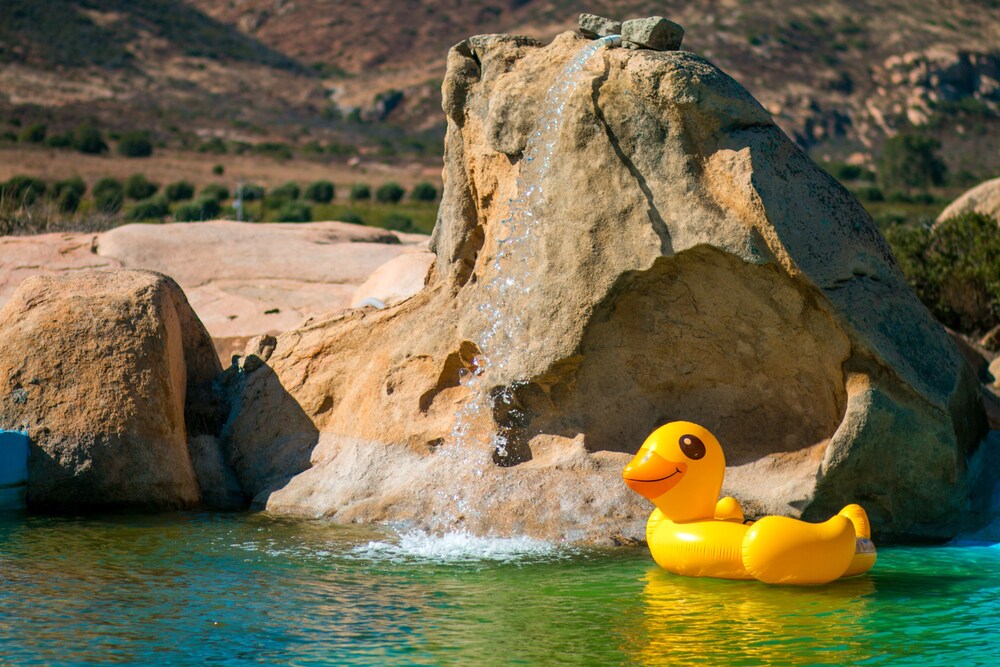 Natural Pool
