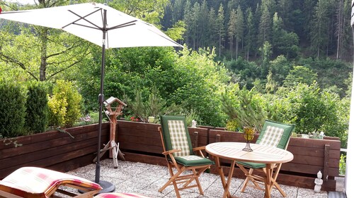 *** Sterne Fewo, große Terrasse im Südhang mit Panoramablick in Rurseenähe