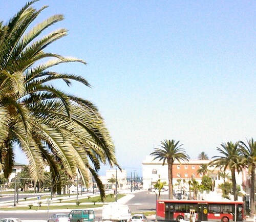In front of the beach Free WIFI.