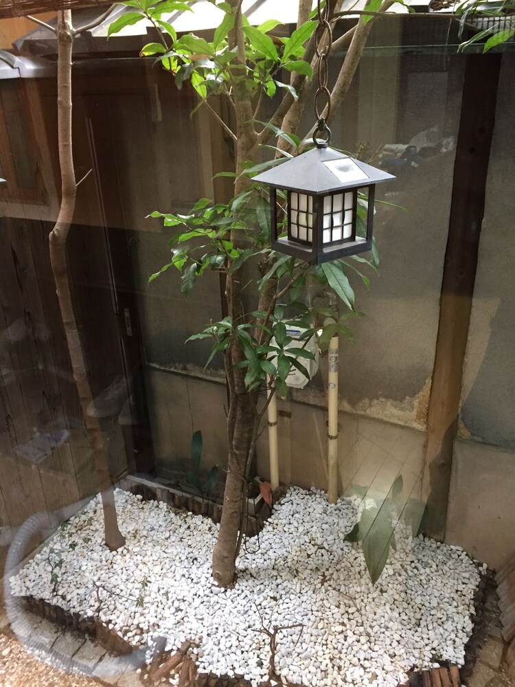 庭園