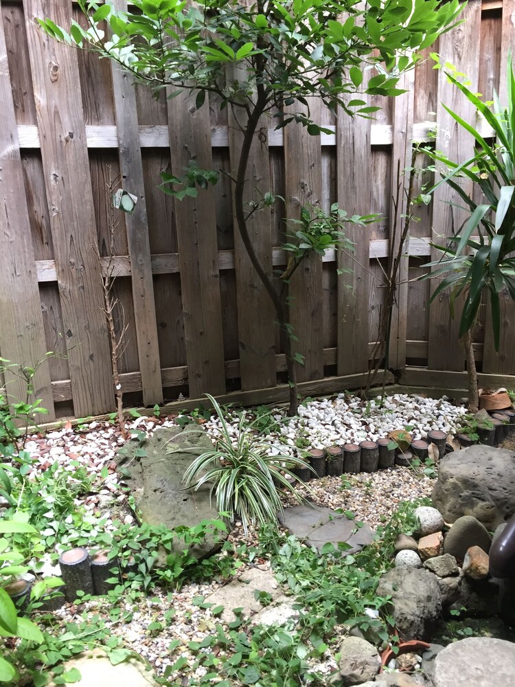 庭園