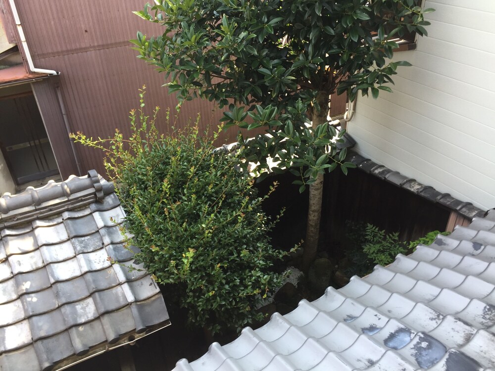 庭園