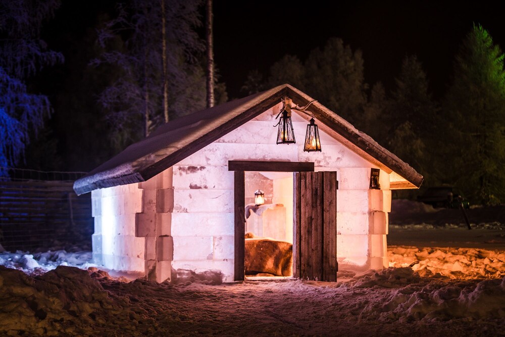 Ice Cabin - vierashuone