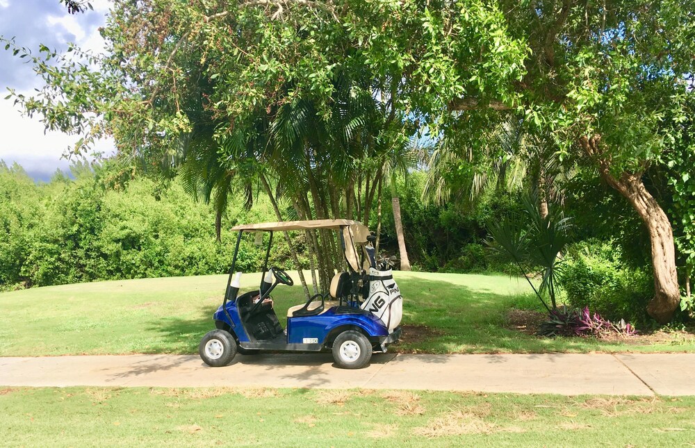 Golf Cart