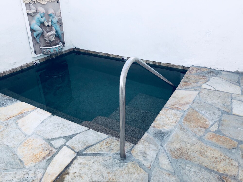 Indoor/Outdoor Pool