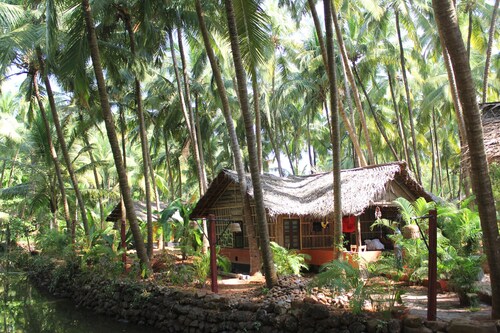 Palm Trees Ayurvedic Heritage