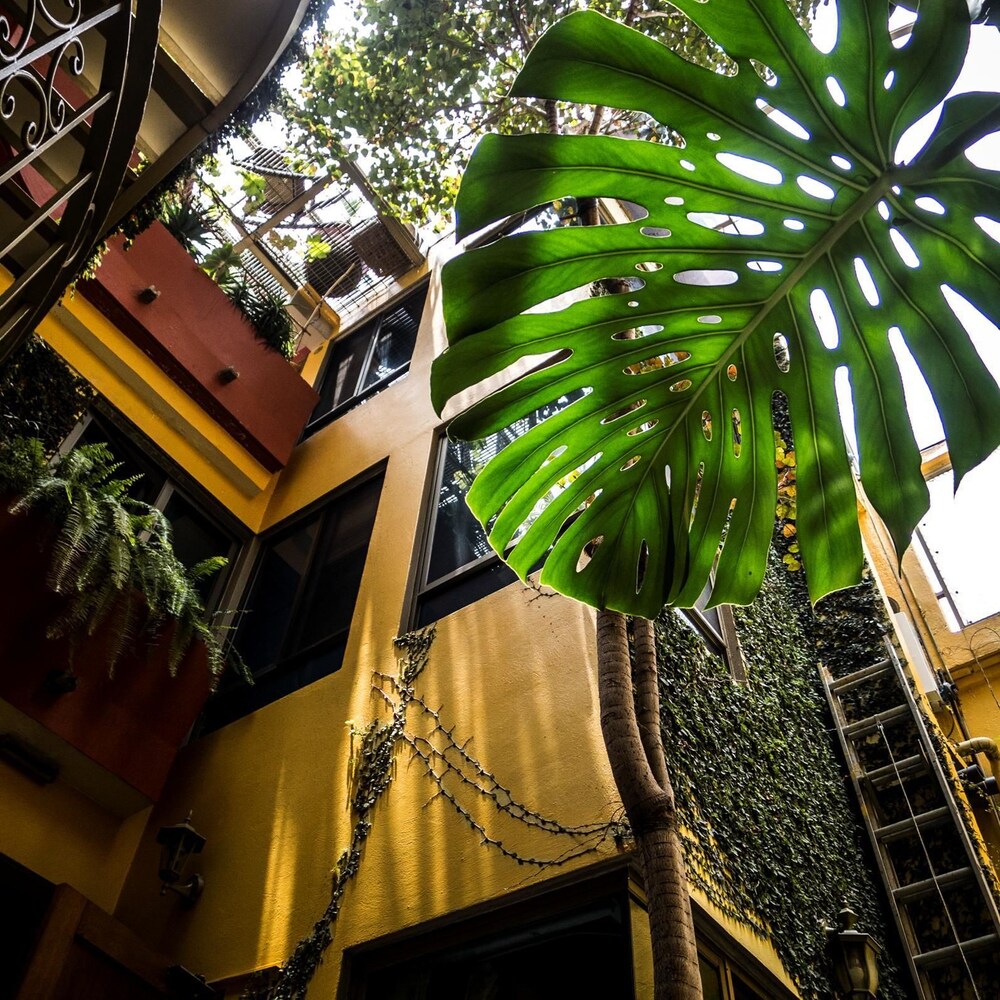Jardines del establecimiento
