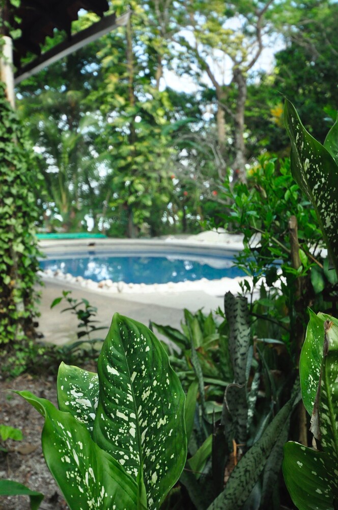 Courtyard View
