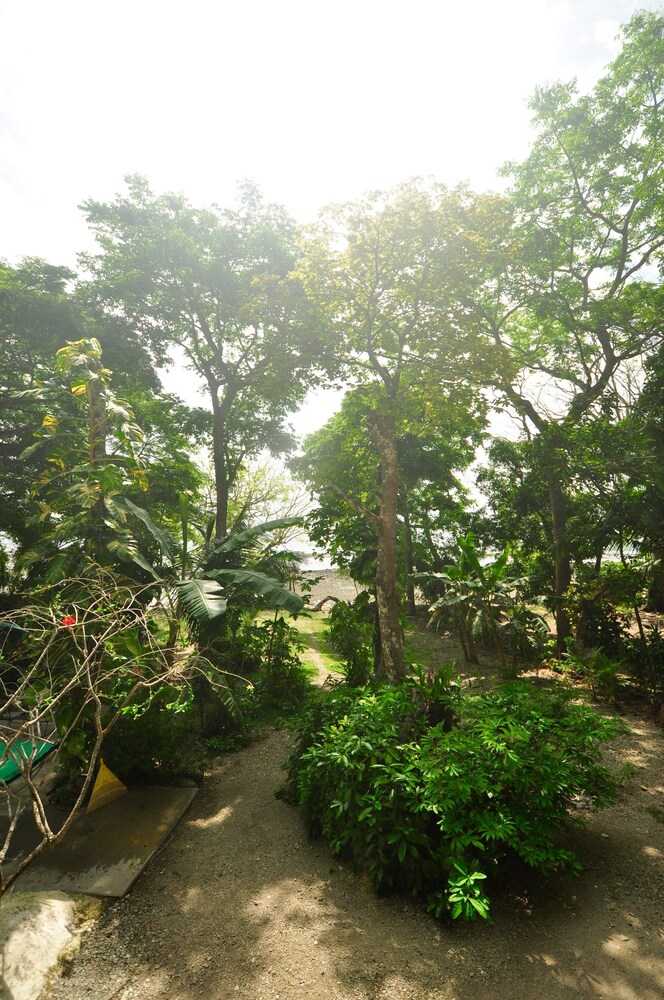 Guestroom View