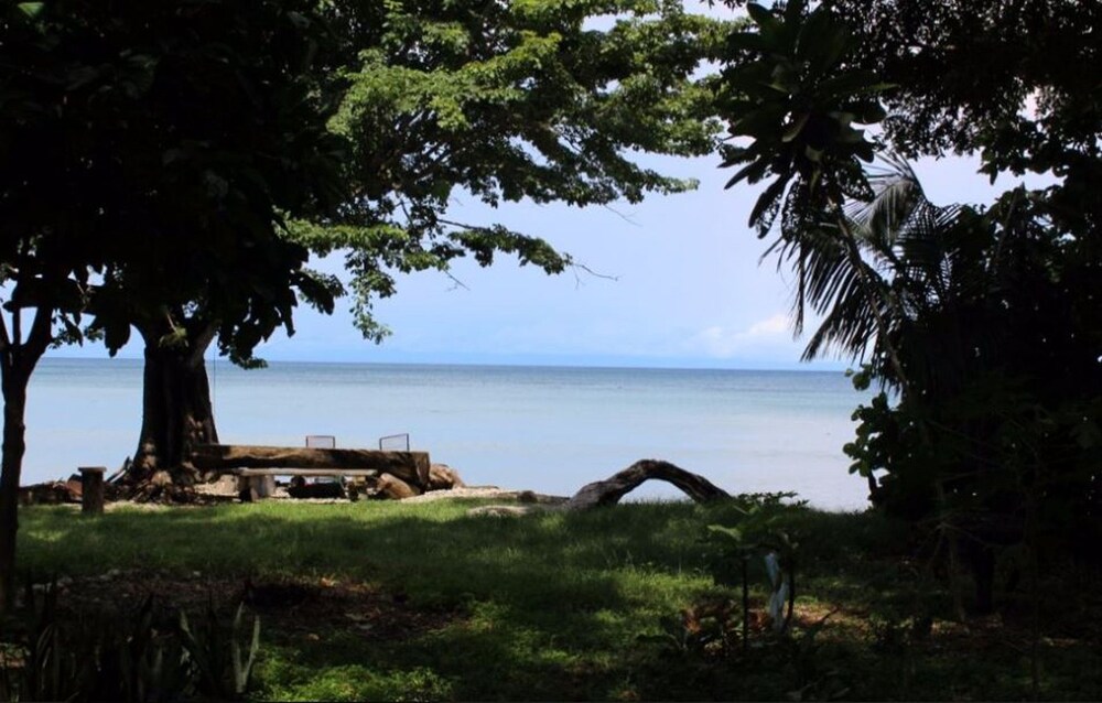 Beach/Ocean View